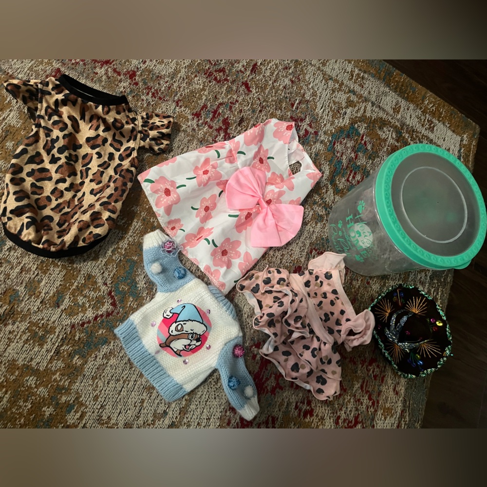 Lot 6 tea cup small pet clothes and more